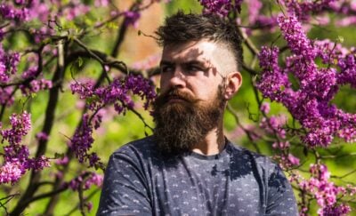 spring beard trimming